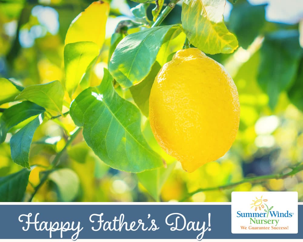 Happy Father's Day eGift Card